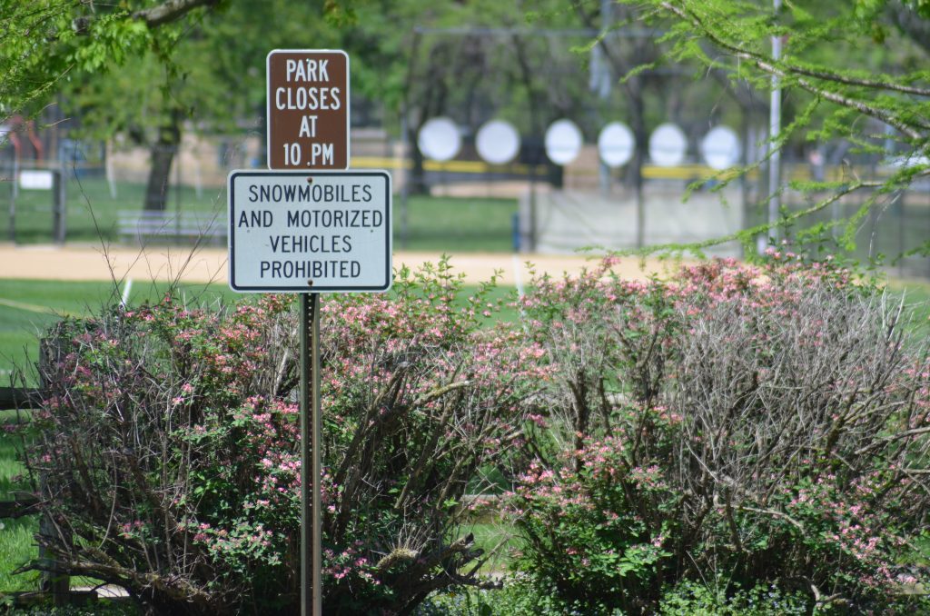 The bushes and fence at Community Park will stay up but a solution to citizens' complaints will be worked on by a committee in Palos Heights in the near future. (Photo by Jeff Vorva)