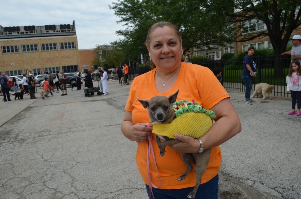 Many dog owners dress their pets in costumes. Mimi, a 6-year-old Chihuahua, was dressed as a taco at the 2018 event. --File photo