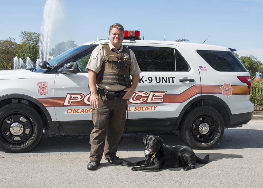 Guests can meet Sergeant Tom Noga and Brookfield Zoo's K-9s during First Responders Day on August 28. (Supplied photo)