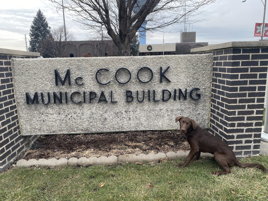 Coco, McCook's new official mascot. (Supplied photo)